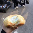 카멜리온 이미지