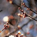 동해분교 이미지