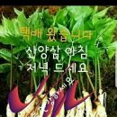 오늘도함께 이미지