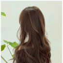 늘곳헤어 네이버블로그