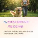 펫코스