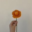 꽃작업실튤