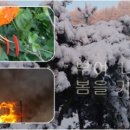 부여청계농장 이미지