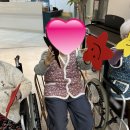 수원-0389 이미지