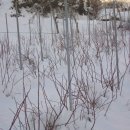 꿈꾸는농장 이미지