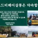디자이드