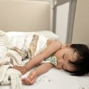 인형 싫어하는 아기, 국민템 젤리캣 제치고 정착한 내돈내산 애착인형(모노레임 오가닉 인형 후기)