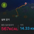 올레PC | 올레길 17코스 완주 (광령~김만덕기념관)