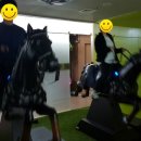 마스타승마클럽 이미지