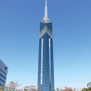 베스트8 이미지