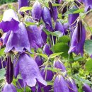 이재홍내과의원 이미지