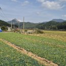 매곡리마을회관 이미지