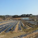 출포리 마을회관 이미지