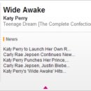 와이드어웨이크(wide-awake)