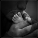 부귀영화와 한국민화 이미지