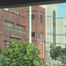 김녕로124 이미지
