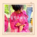 6세 17개월 아이랑 체험 허니비 거제 꿀벌 교육 농장