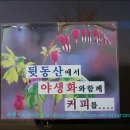 두메골 이미지