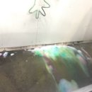 무지개세차장 이미지