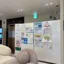 수정휴게점 | 임신 준비 필수 검사 나팔관조영술 후기｜초음파 vs 엑스레이 차이와 실제 통증