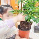 대지초 병설유치원 이미지