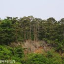 하장초 갈전분교장 이미지