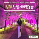 롯데슈퍼 김해진영점(롯데주차빌딩) | 경남 김해여행 가볼만한 곳_시원한 실내관광지 사진핫플 산딸기와인동굴 추천~