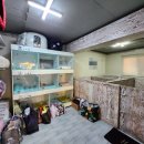 두산이네 애견샵 이미지