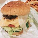 스테이폴앤메리 이미지