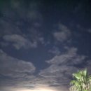 청루숲속의바다펜션 | 제주 루브린 라운지 &amp; 동백바다펜션 숙박후기