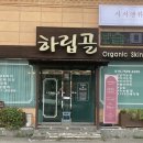 서서앤뷰티 | 경기 광주 손상 없는 수분 탱탱 노글루수분펌 '서서앤뷰티' 속눈썹펌 후기✨