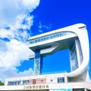 금강철새로마트 | 고성 | 고성 가볼만한 곳 모음 / <고성 통일전망타워>, 송지호둘레길 후기