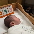 (주)메디프라자 | 흥덕 산후조리원 로얄산후조리원 13박 14일 2주차 VIP룸 후기