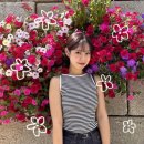 고강도 다이어트짐 신중동점PT 이미지