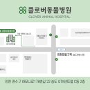 클로버 동물병원 이미지