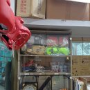 스피드복싱클럽 이미지