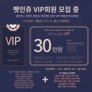 경현켄넬 | 의정부 고양이분양/ 애교가 많은 뱅갈 남매♥