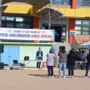 금란초교 이미지