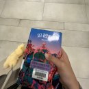 [인턴일상] 검광마 재시험! 결과는...⭐️ • 금요일 연차 • 본가에서 행복 혼카