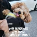 고집 네이버블로그