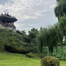 수원-0803 이미지