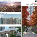 오션포레 이미지