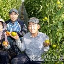 백년농부