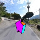 올라알파카 카페 이미지