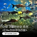 제천학생회관 | 충북 제천 단양 아이랑 가볼만한곳 추천 다누리아쿠아리움 할인 주차
