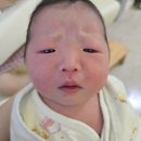 에덴식품 | 광주 에덴병원 제왕절개 후기 #2