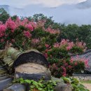 하늘그린(주) 이미지