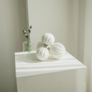 메디테스 이미지