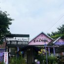 오리랜드 | 가평 오리맛집 추천 문교오리랜드 구이세트 후기 애견동반 가능한 현지인들이 추천하는 찐맛집