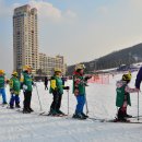 (스키&보드)2월17~19일(2박) 설원에서 즐기는 최고의 레포츠 스키 & 보드 캠프 참가하세요^^ 이미지